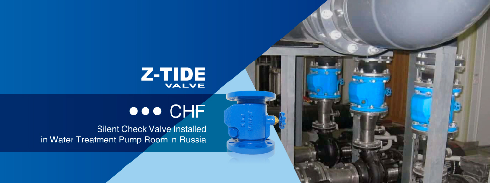 Z-Tide Silent Check Valve Installed in Water Treatment Pump Room System in Russia Silent Check Valve Installed in Water Treatment Pump Room System in Russia